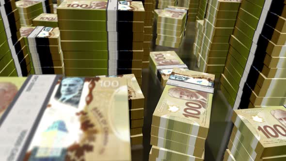 3d flight over the Canadian Dollar money banknote packs loop