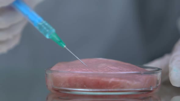 Researcher Injecting Liquid in Meat Sample in Petri Dish, African Swine Flu