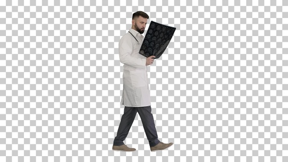 Doctor from middle east walking and looking, Alpha Channel