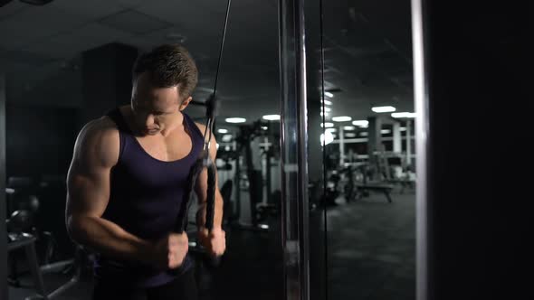 Athletic Man Training Arm Muscles, Performing Triceps Cable Pushdown Exercise