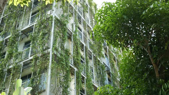 Building with Plants Growing on the Facade