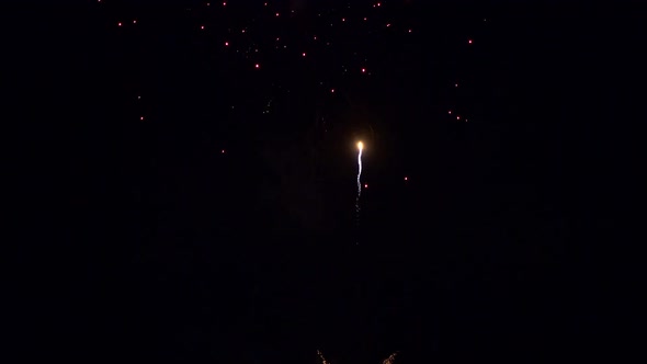 Colorful Firework display at night on sky background