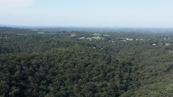 Pulling out high above a green tree forest on a beautiful sunny summer day