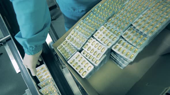 Pills in Blisters Are Getting Packed Into a Box. Production of Medicines at a Pharmaceutical