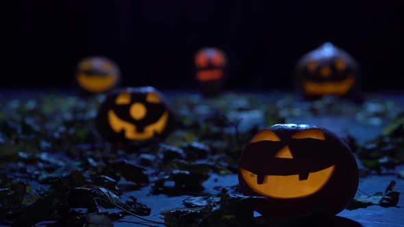 Halloween Pumpkins Glow in the Forest with Horrible Faces, the Wind Blows Foliage