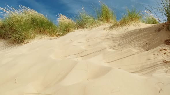 The Dunes of Camber Sands Beach, East Sussex, England, UK