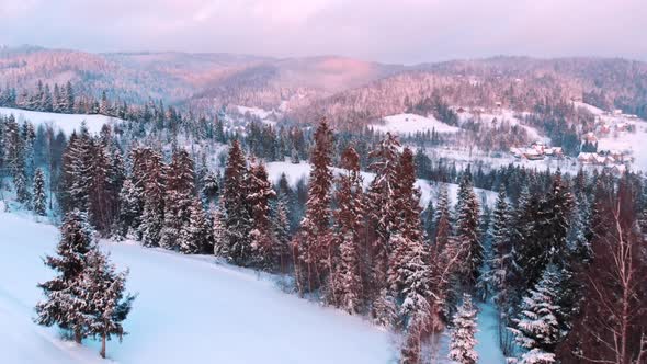 Scenic View Of Winter Forest Nature Snow Covered Trees Alpine Landscape Clear Sky