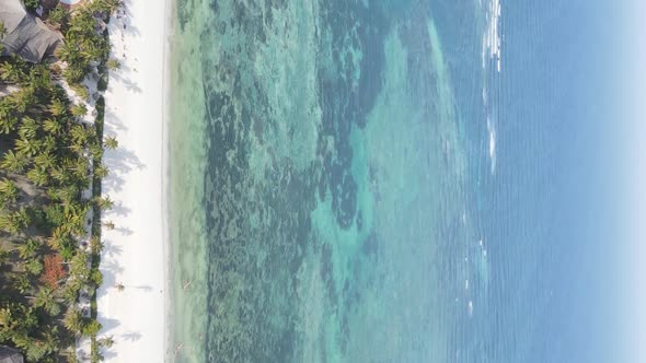 Vertical Video of the Ocean Near the Coast of Zanzibar Tanzania Aerial View