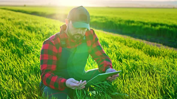 Portrait of a Man with a Beard Working at a Field