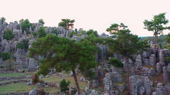 Aerial View of Picturesque Rock Formations and Pine Trees on a Summer Day