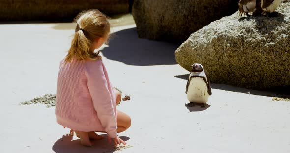 Girl playing with young penguin in the beach 4k