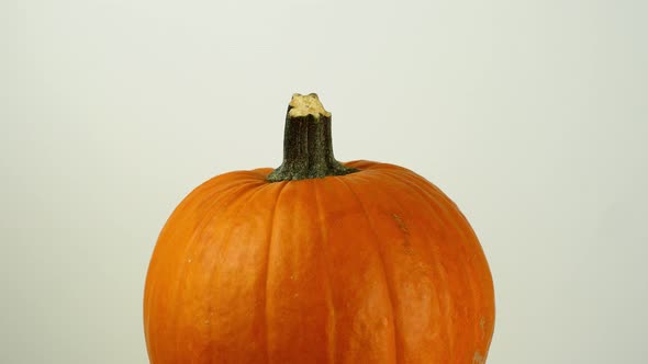 Halloween pumpkin with on a white background rotates 360. Close-up of an orange pumpkin.