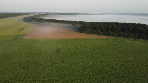 Fields and Forest are Covered with Morning Fog