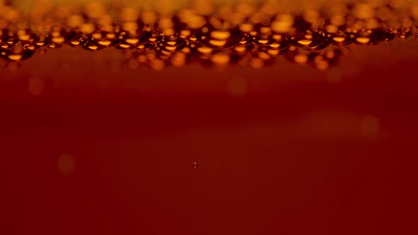 Detail of Beer Glass with Carbonated Liquid