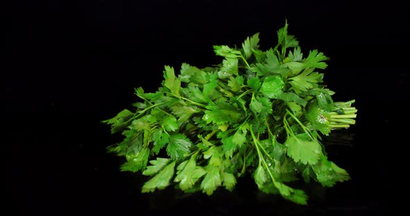 Bunch of Parsley Falls on the Water Splash.