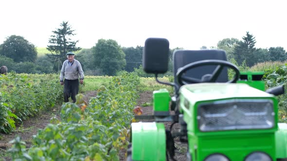 The Pensioner Works in the Garden Near His House