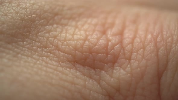 Human Skin Macro Background