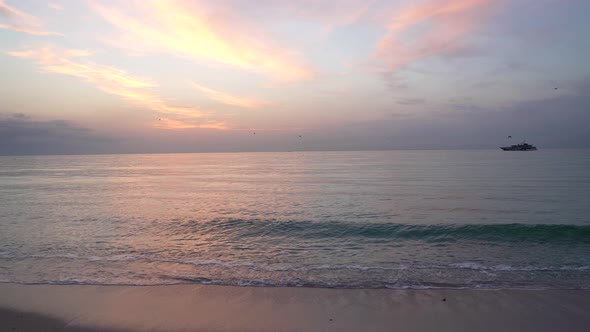 Seagulls Flying Over the Sea Sunrise with Ship Silhouette Slow Motion Nature