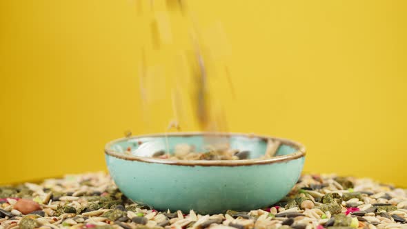 Pouring Rodents Food in Bowl Closeup Rotating