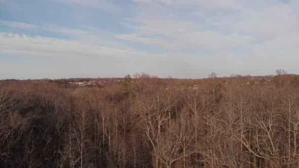 Rising aerial shot to top of tree lines