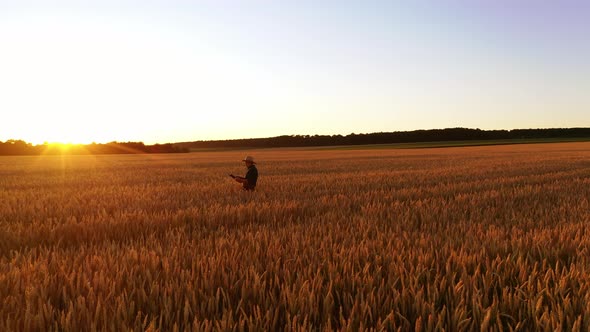 Agronomist checking harvest on field