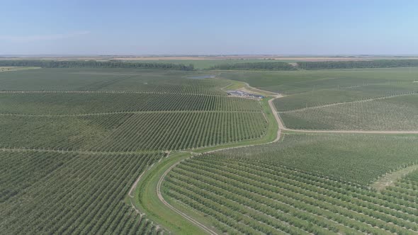 Aerial view of agricultural fields