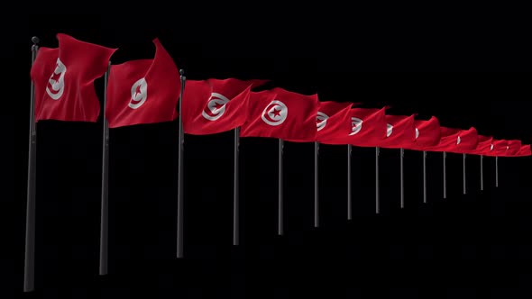 Row Of Tunisia Flags With Alpha 4K