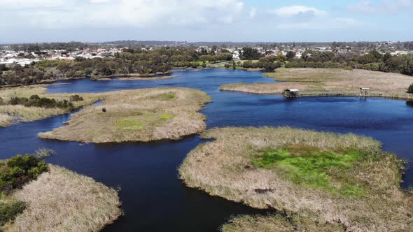 Aerial View of a Swamp