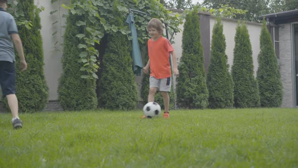 Wide Shot of Cheerful Little Friends or Brothers Playing Soccer on Green Lawn at Home. Portrait of