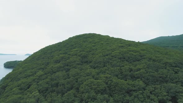 Aerial Shot Rising Over the Treetops on the Hill on Sea Coast n Cloudy Day