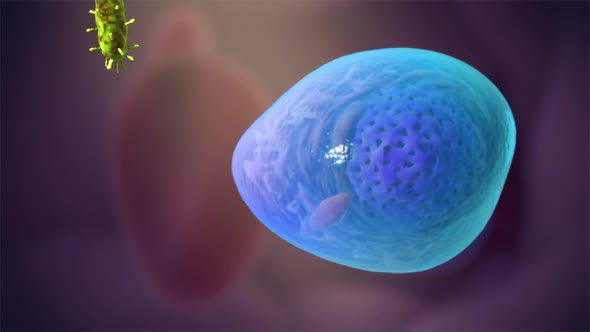 3D animation of a virus attack on an organism cell. alt