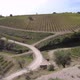 Vineyards of Winegrowing in Tuscany - VideoHive Item for Sale