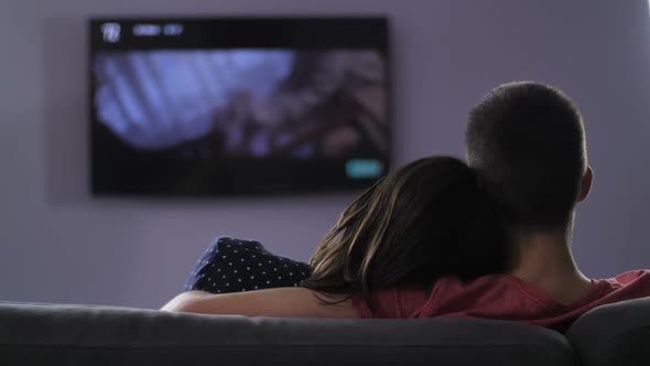 Rear View of Couple Watching Television at Night