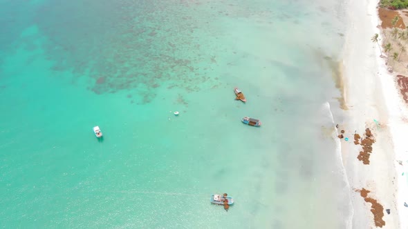 Professional Fishing Boat, Drone Shooting of an Asian Fishing Schooner, Boat with Seaweed on Board