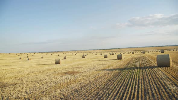 Beautiful View of Field with Haycocks at Spacious Horizon and Amazing Bright Sky