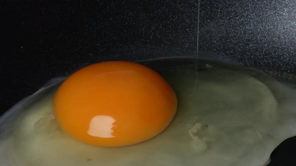 Fried Egg 96