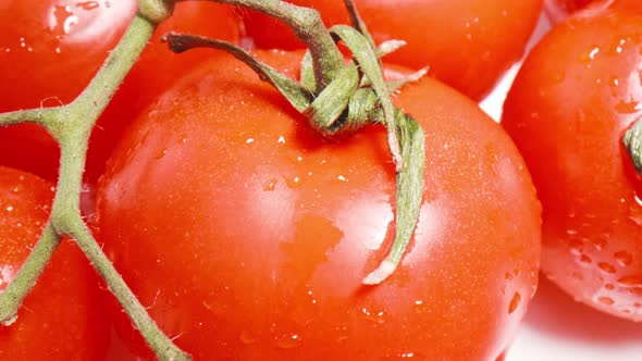 Tomatoes (4K)