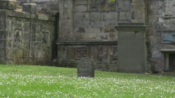 Small gravestone in green grass