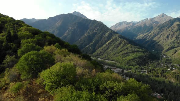 Aerial Drone Shot of Green Forest and Mountains in Kazakhstan