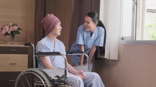 A female doctor with a wheelchair patient at window, recovering from illness.