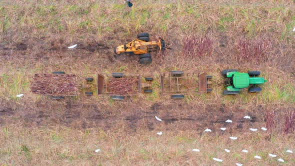 Sugar cane harvesting machinery. Aerial top-down