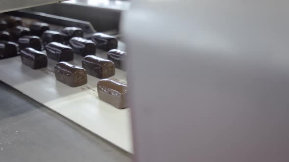 Chocolate Factory Production of Glazed Curds View of Chocolates Transported on Conveyor