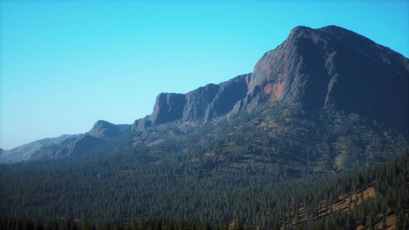 Beautiful Natural Landscape in the Summer Time alt