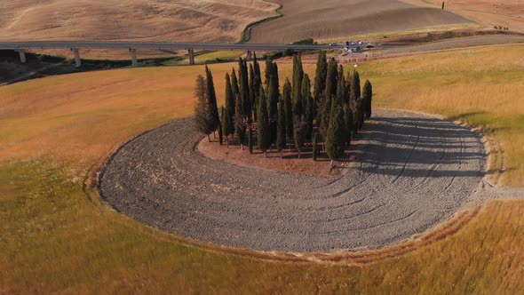 Aerial shot of cypress trees on the hills of Val d'orcia ,TUSCANY,ITALY