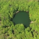 Nature Forest Lake - VideoHive Item for Sale