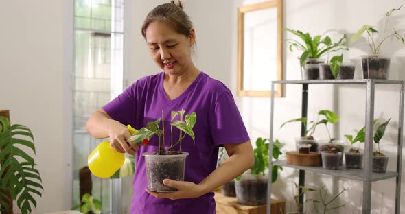 Happy Asian woman watering for house plant in pot. Home recreation activity.