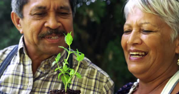 Senior couple holding plant
