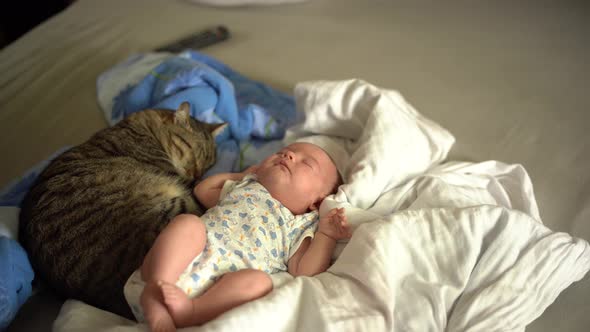 Newborn Sleeping Next to a Cat on a Bed on a Blanket