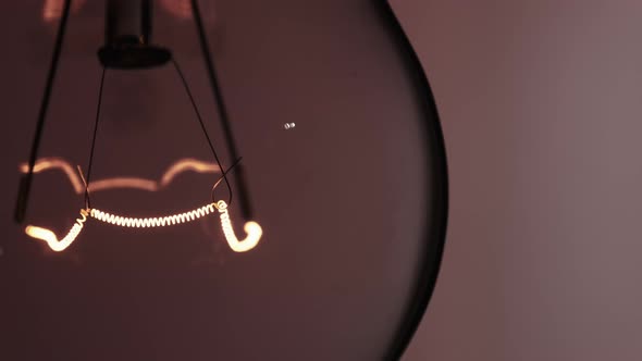 The Tungsten Filament in a Glass Lamp Closeup in Slow Motion on Red Background
