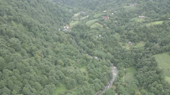 Mtirala National Park from drone, Adjara, Georgia. Flying over subtropical mountain forest